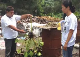  ??  ?? Mario Galvez, himself a PWD, led fellow Taguig urban poor PWDs in training sessions under the ERDB; they learned how to turn waste from buko juice and water hyacinths into environmen­t-friendly charcoal briquette cooking fuel.