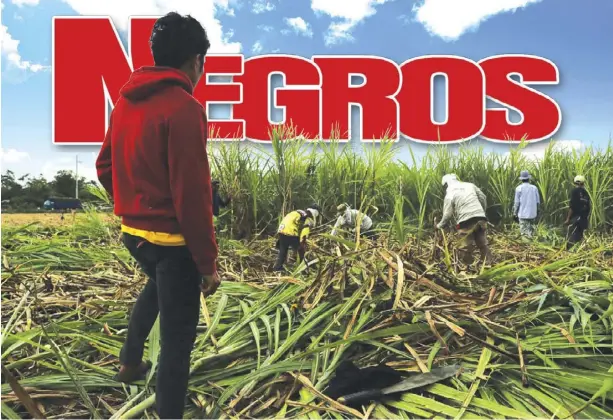  ?? PHOTO CONTRIBUTE­D BY JOHN GLEN TEORIMA ?? A sacada gazes over his coworkers in a plantation in Negros Occidental. According to Department of Labor and Employment regional director Atty. Johnson Cañete, there is a low supply of manpower for sugar farm workers in the province.