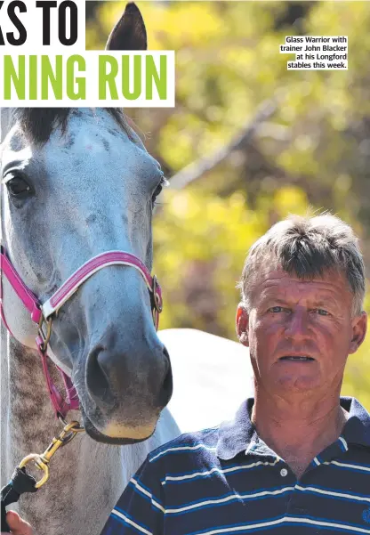  ?? ?? Glass Warrior with trainer John Blacker at his Longford stables this week.