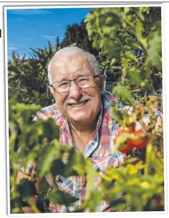  ?? Picture: JERAD WILLIAMS ?? Chris Davis has been involved in the Varsity Vegies Community Garden for over 10 years sharing his top tips for those who plant a patch.