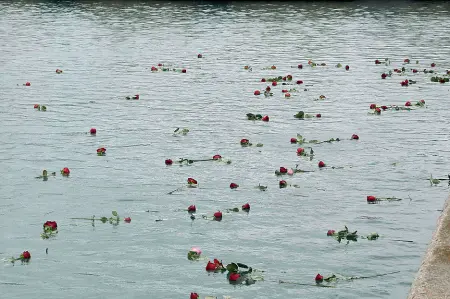  ??  ?? In memoria Le rose rosse nell’acqua del porto di Livorno, per ricordare la strage della Moby Prince (Lanari)