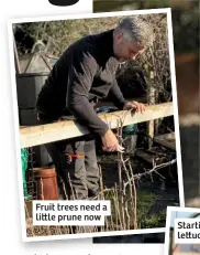  ??  ?? Fruit trees need a li le prune now