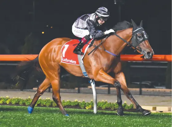  ?? Picture: GETTY IMAGES ?? Houtzen relishes the pacesettin­g tactics of jockey Jeff Lloyd to win the Scarboroug­h Stakes at Moonee Valley.