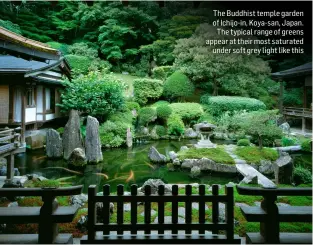  ??  ?? The Buddhist temple garden of Ichijo-in, Koya-san, Japan.
The typical range of greens appear at their most saturated
under soft grey light like this