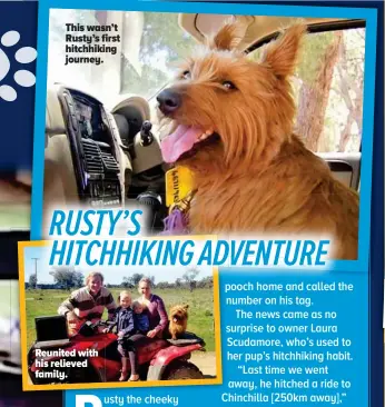  ??  ?? This wasn’t Rusty’s first hitchhikin­g journey. Reunited with his relieved family.
