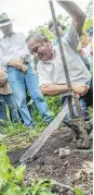  ?? PABLO COZZAGLIO / AFP / GETTY IMAGES ?? Ecuadorian Jose Conte digs up oil slime on his land in September 2017 near an area contaminat­ed with oil from a now abandoned well in the Ecuador rain forest.