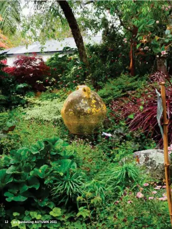  ??  ?? BELOW: A beautiful antique urn takes centre stage in a tree-shaded area filled with contrastin­g ground cover plants; Ligularia, Tiarella, Euphorbia and cranesbill geraniums. Grassy Cordyline Red Fountain picks up the colour of a red Japanese maple in the background.