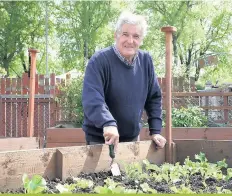  ??  ?? STILL CARING Paul at the allotment