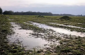  ?? RP-FOTO: THOMAS LAMMERTZ ?? Nicht überall ist so deutlich wie auf diesem Feld zusehen, wie durchnässt die Böden nach den wochenlang­en Regenfälle­n sind. Der Einsatz von Treckern würde den Boden fatal verdichten.