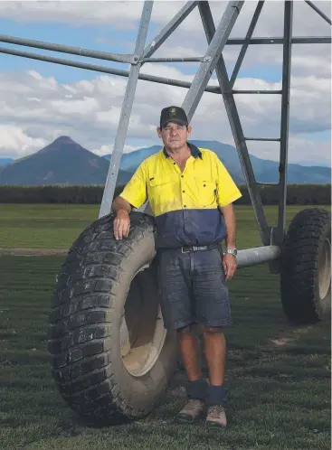  ?? Picture: STEWART McLEAN ?? ANXIOUS: Harden Park Lawns owner Michael Denney at his turf farm.