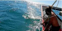  ?? PHOTO: SUPPLIED/PURE TOUR NZ ?? Crew deploy the plastic trawl net aboard Te Matau a Ma¯ ui.