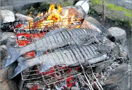  ??  ?? Cooking fish over the campfire is the best way to enjoy the fresh, natural taste of your catch.