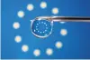  ?? PHOTO: REUTERS ?? The EU flag is reflected in a drop on a syringe needle.