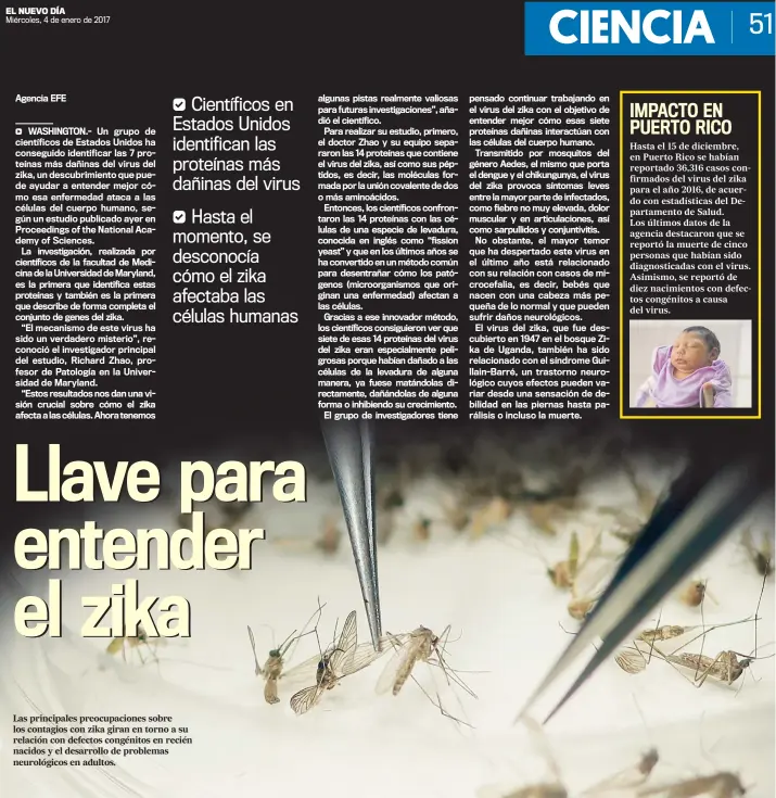  ??  ?? Las principale­s preocupaci­ones sobre los contagios con zika giran en torno a su relación con defectos congénitos en recién nacidos y el desarrollo de problemas neurológic­os en adultos.