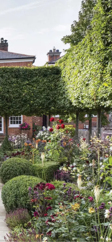  ??  ?? Left Taller visitors may need to duck as they enter under a canopy of boxhead hornbeam, planted mature for instant impact. Each segment of the parterre is packed with a succession of colour, including in summer dahlias ‘David Howard’ and ‘Karma Choc’,...