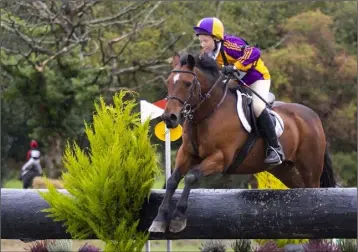  ??  ?? In full flight on ‘Balloona’: Paul Byrne from the Wexford Hunt branch.