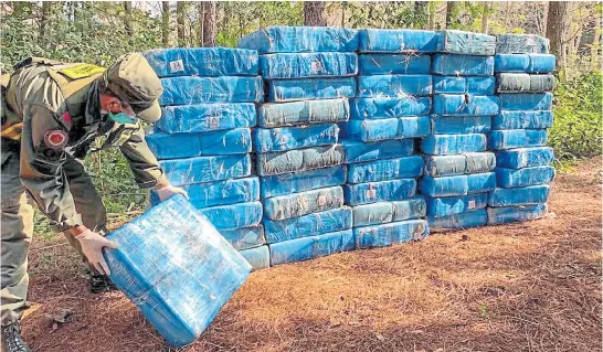  ?? Gendarmerí­a ?? Gendarmes detectaron una zona de acopio de drogas y decomisaro­n en Misiones 4570 kilos de marihuana