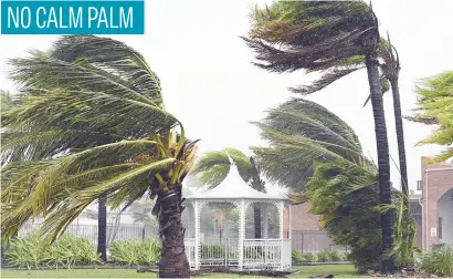  ?? Picture: EPA ?? Trees wave during strong winds in Bowen, Queensland, Australia yesterday. Category 4 cyclone Debbie made landfall on the north coast of Queensland yesterday morning. NO CALM PALM