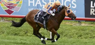  ?? PHOTO: TRISH DUNELL ?? Dynastic is the favourite in fixedodds betting for the Hawke’s Bay Guineas at Hastings today.