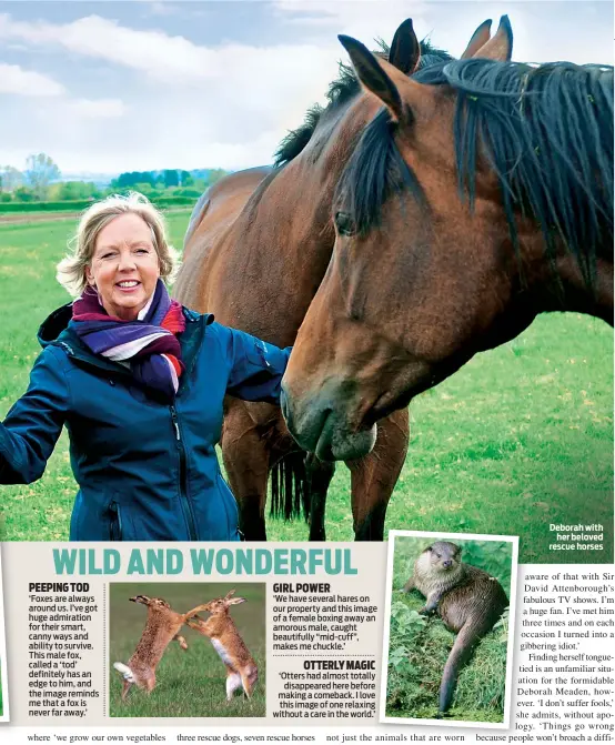  ??  ?? Deborah with her beloved rescue horses