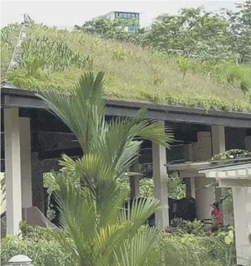  ??  ?? A green roof brings several benefits to a home’s outdoor space