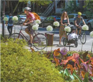  ?? JACQUES NADEAU LE DEVOIR ?? L’administra­tion Plante souhaite augmenter la part modale du vélo à 15% dans 10 ans.