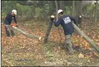  ??  ?? Markie Santiago uses a chainsaw to cut through the trunk of a tree, while David Feliciano removes cut wood.