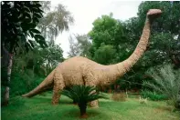  ?? AFP file ?? A life-sized model of a dinosaur at the Dinosaur and Fossil Park at Indroda in Gandhinaga­r, 30km from Ahmedabad. —