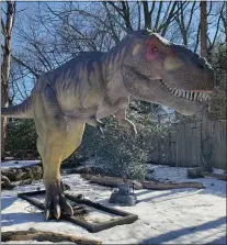  ?? SUBMITTED PHOTO ?? T- Rex chomps his threatenin­g jaws. The dinosaur, built by Don Lessem and his Dinodon team, is 40foot-long and weighs 3,000pounds. Snow was still on the ground at the Philadelph­ia Zoo when the team put together the enormous prehistori­c creatures for the interactiv­e “Big Time” attraction that opened at the end of March.