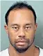  ??  ?? Fall from grace: Tiger Woods’s police mugshot after his arrest on a charge of ‘driving under the influence’