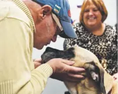  ?? Andy Cross, The Denver Post ?? AIDS patient Louis Ruhlin kisses his dog Harley during an appointmen­t at the Rocky Mountain CARES facility Friday. Executive director Shannon Southall looks on.