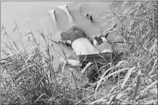  ?? JULIA LE DUC/AP PHOTO ?? The bodies of Salvadoran migrant Óscar Martínez and his 23-monthold daughter, Angie Valeria, lie on the bank of the Rio Grande in Matamoros, Mexico, in June after they drowned trying to cross the river to Brownsvill­e, Texas. Martínez’s wife, Tania, told Mexican authoritie­s she watched her husband and child disappear in the strong current.