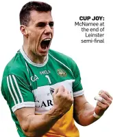  ??  ?? CUP JOY: McNamee at the end of Leinster semi-final