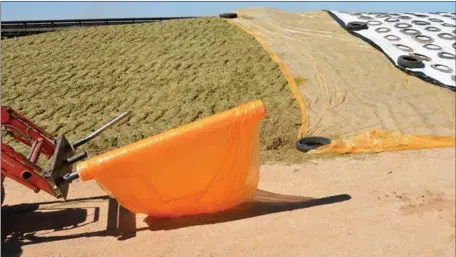  ??  ?? Worldwide trials with Silostop confirm that dry matter loss is reduced by up to 50% in the top metre of silage.