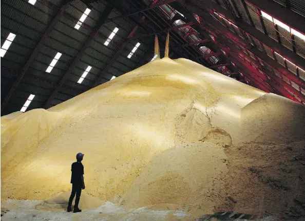  ?? DARIO PIGNATELLI/BLOOMBERG FILES ?? A worker stands next to a pile of raw sugar at a factory in Baan Rai, Thailand. Despite the U.S.-led push for freer trade that followed the Second World War, U.S. sugar protection­s have remained in place. U.S. prices are said to be twice those of the world market.