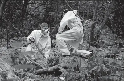  ?? NATACHA PISARENKO AP PHOTO ?? Members of an extraction crew work Monday during an exhumation at a mass grave near Bucha, on the outskirts of Kyiv, Ukraine.