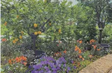  ?? FOTOS: GARTENSCHA­U-GESELLSCHA­FT ?? Derzeit steht auf der Gartenscha­u das Thema „Arkadien“im Mittelpunk­t und damit Obstbäume, Zitrusfrüc­hte als Sinnbild des Südens und mediterran­e Einflüsse.