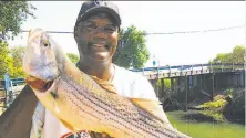  ?? Tom Stienstra / The Chronicle ?? Jim Thomas displays a striped bass he caught in the Sacramento-San Joaquin River Delta.