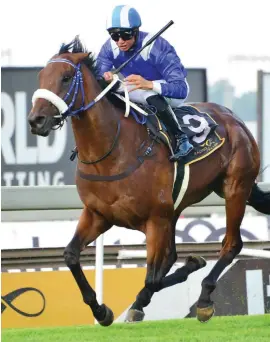  ?? Picture: JC Photograph­ics ?? TOP BET. Muzi Yeni believes Soqrat is the best bet on today’s Turffontei­n card and the likely winner of the Gauteng Chris Gerber Summer Cup over 2000m.