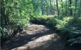  ?? FOTO JVDV ?? Het Groot Schijn ongeveer ter hoogte van het Vrieselhof.