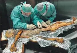  ?? M. Samadelli South Tyrol Archaeolog­y Museum/Eurac ?? SCIENTISTS study Otzi, often called Iceman, in 2010. He died roughly 5,300 years ago. His last meal included fatty meat and some einkorn wheat plant seeds.