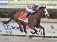  ?? ASSOCIATED PRESS ?? Tiz the Law, ridden by Manny Franco, wins the Florida Derby on Saturday at Gulfstream Park.