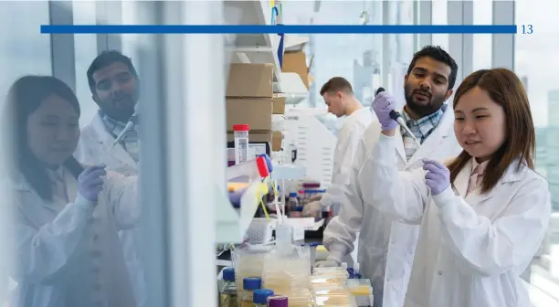  ?? Universiti­es Canada photo ?? Students at work in a lab at Ryerson University in Toronto in 2017.