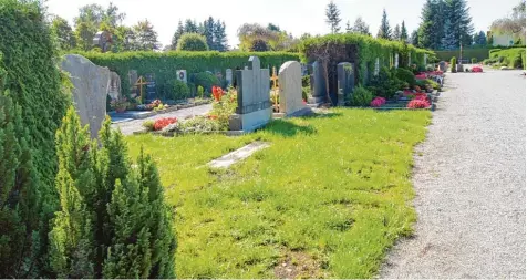  ?? Fotos: Alf Geiger ?? Wer über den städtische­n Friedhof von Bad Wörishofen geht, entdeckt an immer mehr Stellen nicht mehr genutzte Grabfläche­n. Manche werden von der Stadt für neue Pro jekte offen gehalten, andere schlicht nicht mehr benötigt.