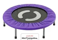  ??  ?? £29.99 Mini Trampoline, Argos