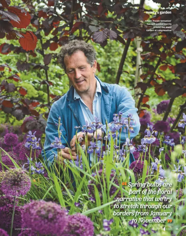  ??  ?? Allium ‘Purple Sensation’ has self-seeded merrily around the Jewel Garden at Longmeadow