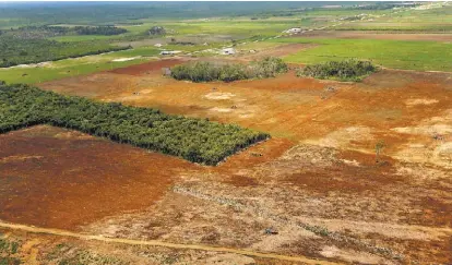  ??  ?? Autoridade­s federales señalan que deforestac­ión se realizó para crear, sin autorizaci­ón, campos de cultivo.