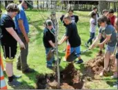  ?? JOHN BREWER - ONEIDA DAILY DISPATCH ?? Seneca Street fifth graders help the City of Oneida plant its latest Arbor Day addition.