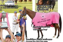  ??  ?? พิธีเปิดการแข่งขันขี่ม้าโปโลหญิงการกุศล รายการ ‘Queen’s Cup Pink Polo 2020’ อย่างเป็นทางการ การแข่งขันคู่ชิงชนะเลิศ ระหว่างทีมลา ฟามิเลีย และทีมมาเรนโก้
ม้าสุดแกร่งเจ้าของรางวัล ‘Best Playing Pony’