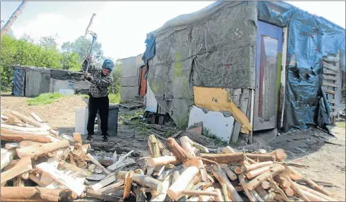 ?? Picture: FREDLIN ADRIAAN ?? BATTLING TO SURVIVE: Bongani Nyati chops wood at the squatter camp concealed by bushes in Lorraine, Port Elizabeth